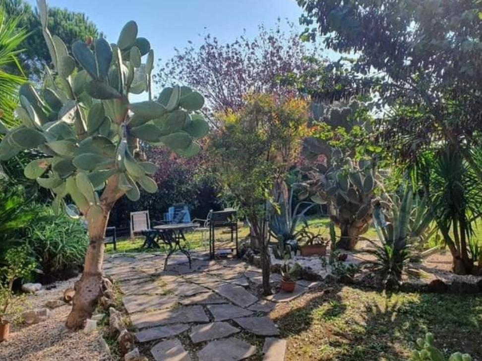 La Casa Di Fede Hotel Lanuvio Cameră foto